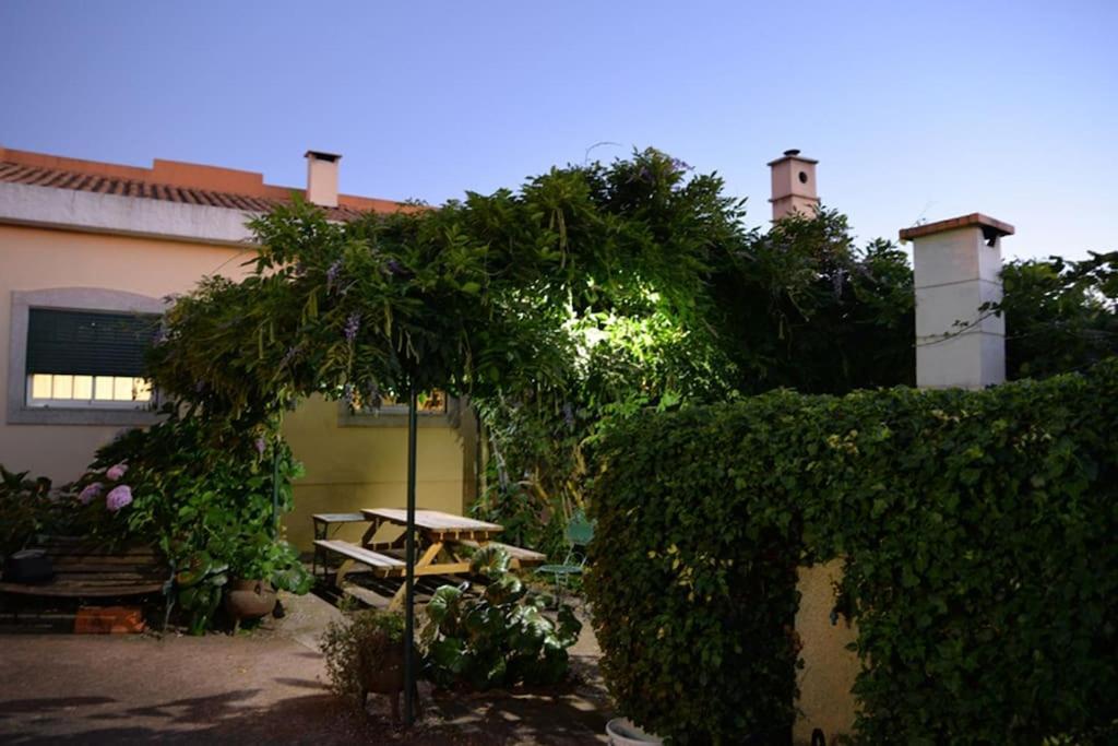 A Tintureira Villa São Martinho de Antas Exteriör bild