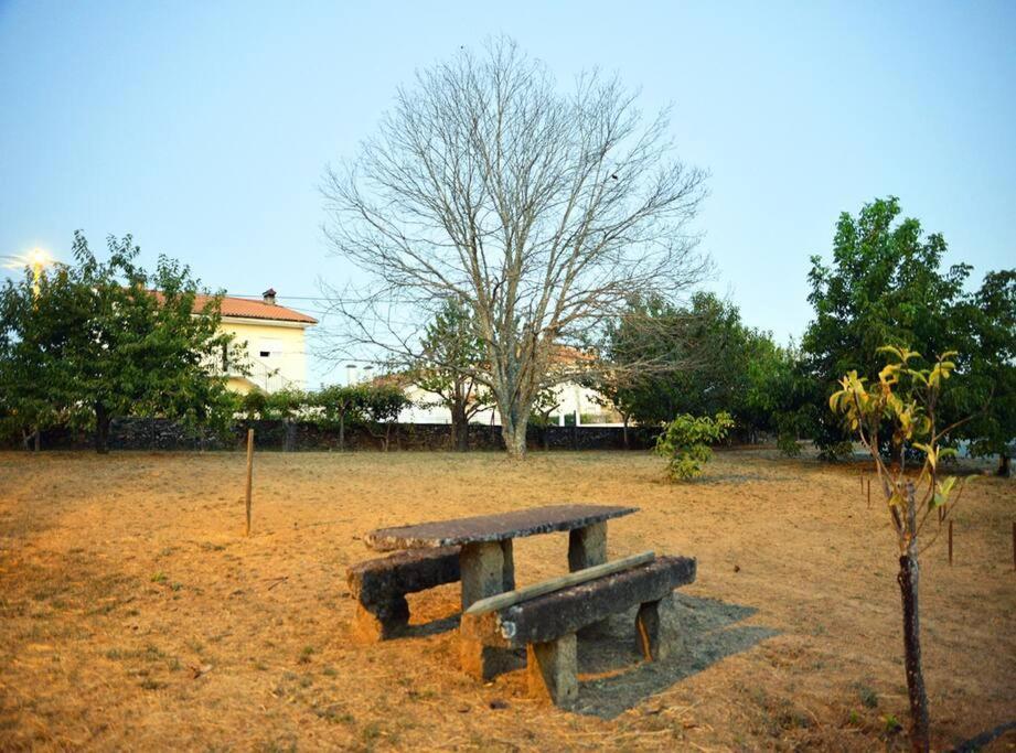 A Tintureira Villa São Martinho de Antas Exteriör bild