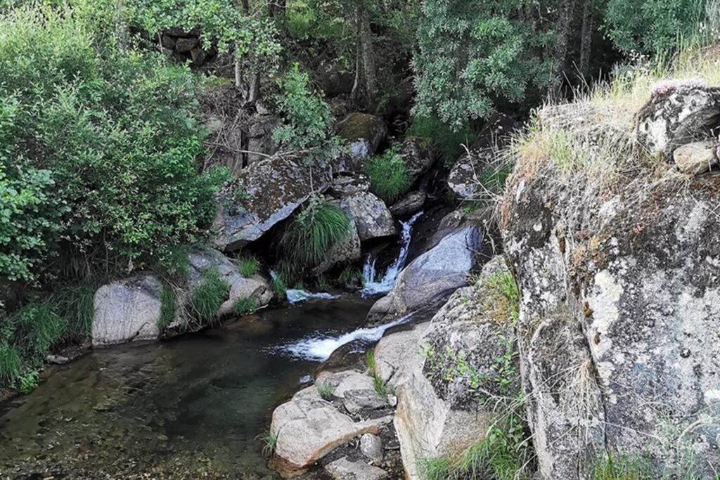 A Tintureira Villa São Martinho de Antas Exteriör bild